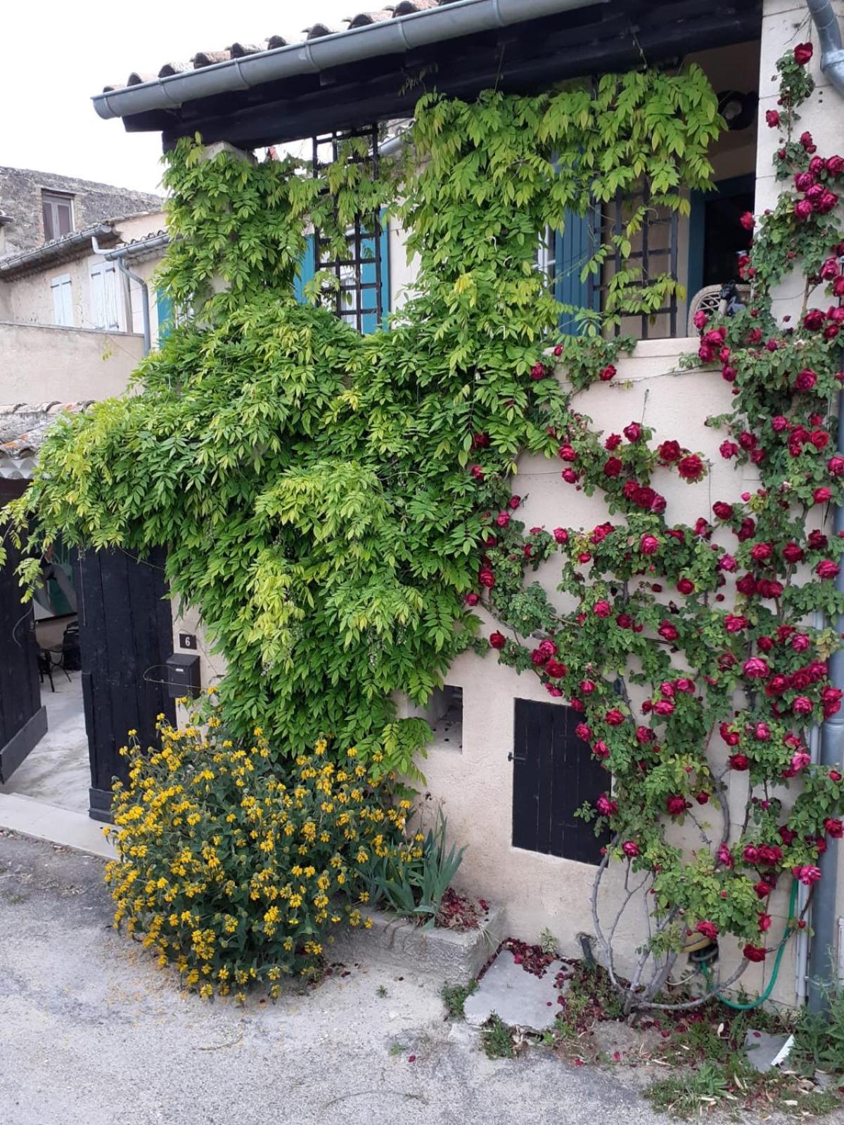 Villa les grés logis de charme jean loup Grignan Exterior foto