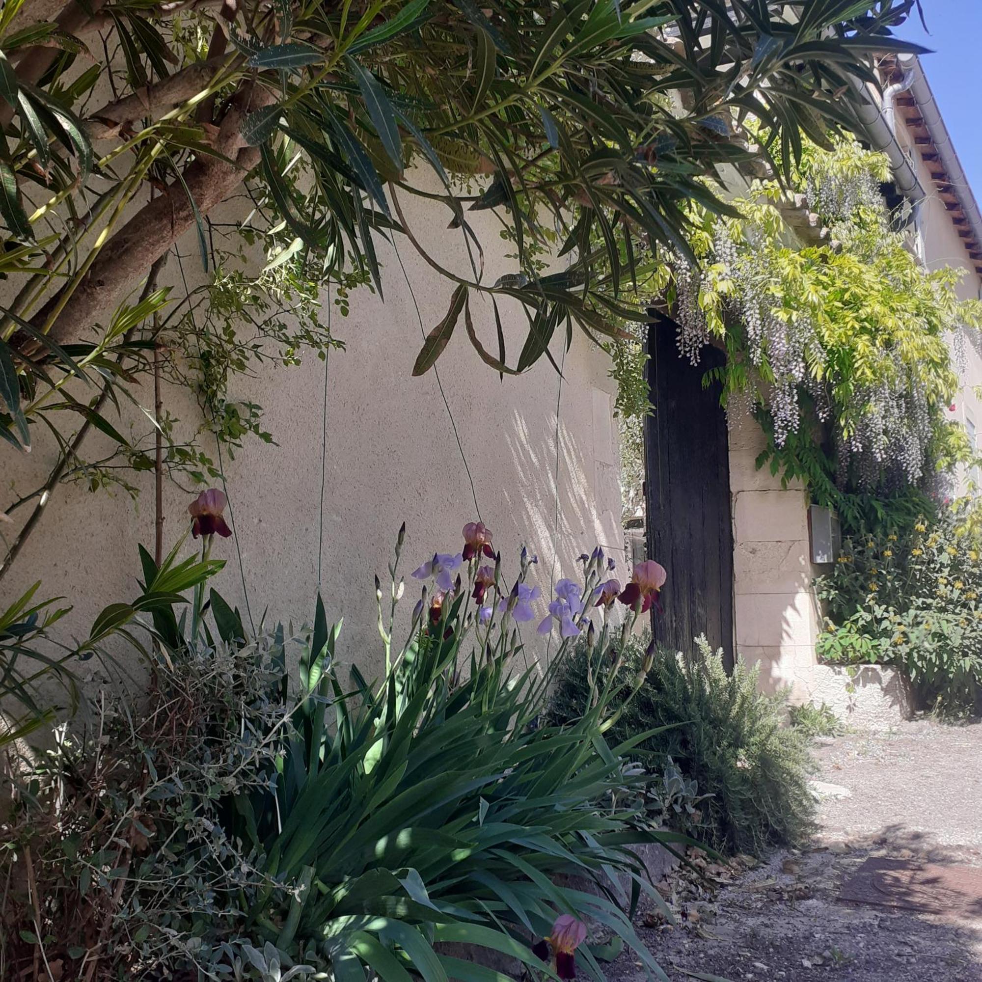 Villa les grés logis de charme jean loup Grignan Exterior foto